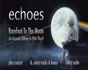 Echoes - Barefoot To The Moon: An Acoustic Tribute To Pink F
