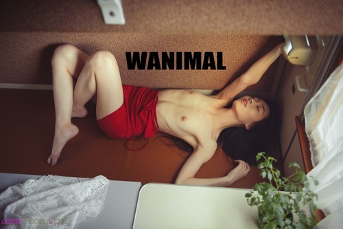 Beautiful Asian Girl WANIMAL Perfect Nude
