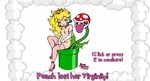 Mario is Missing Peachs Untold Tale v. 3.38