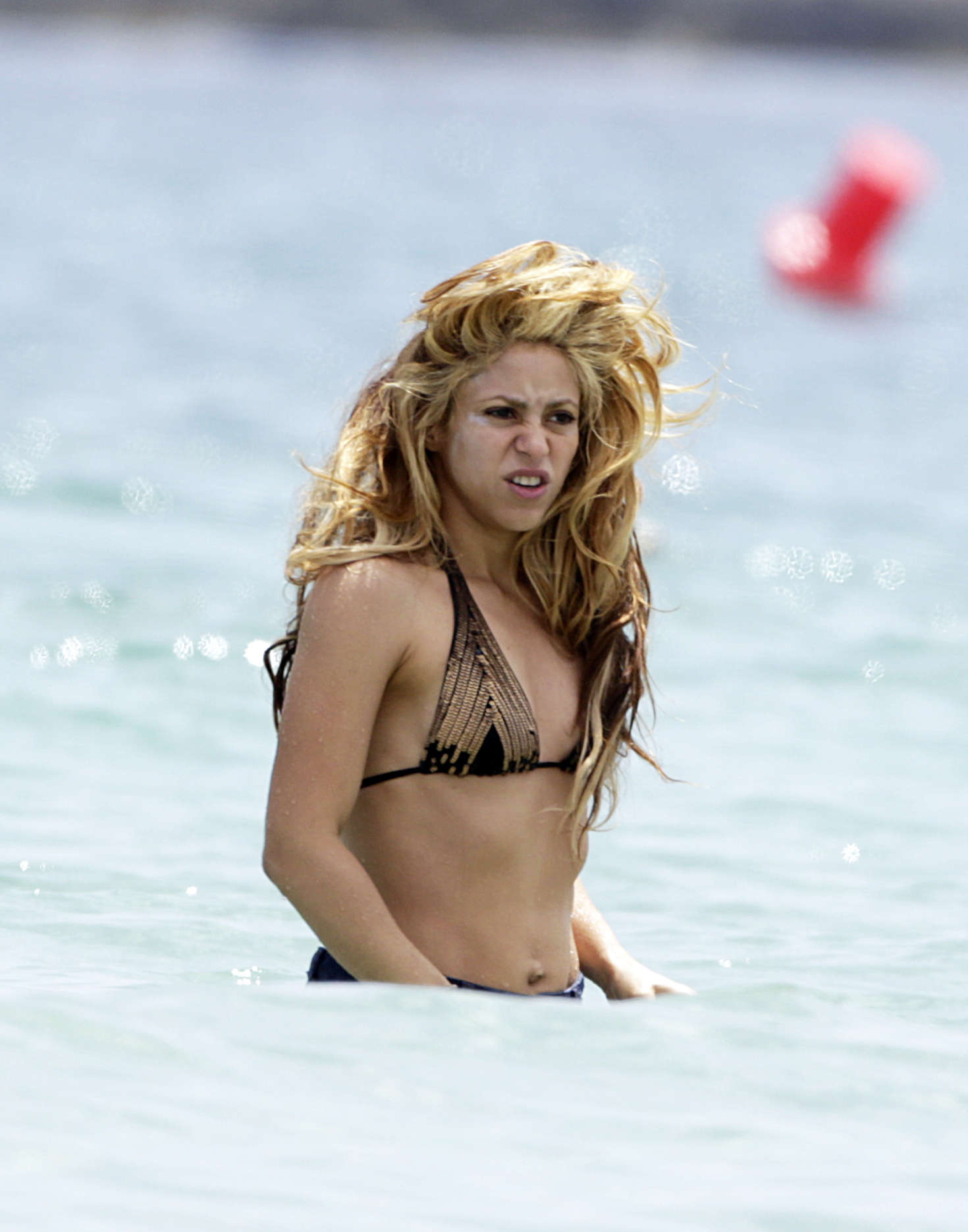 Shakira-in-Bikini-Top-2016--25.jpg