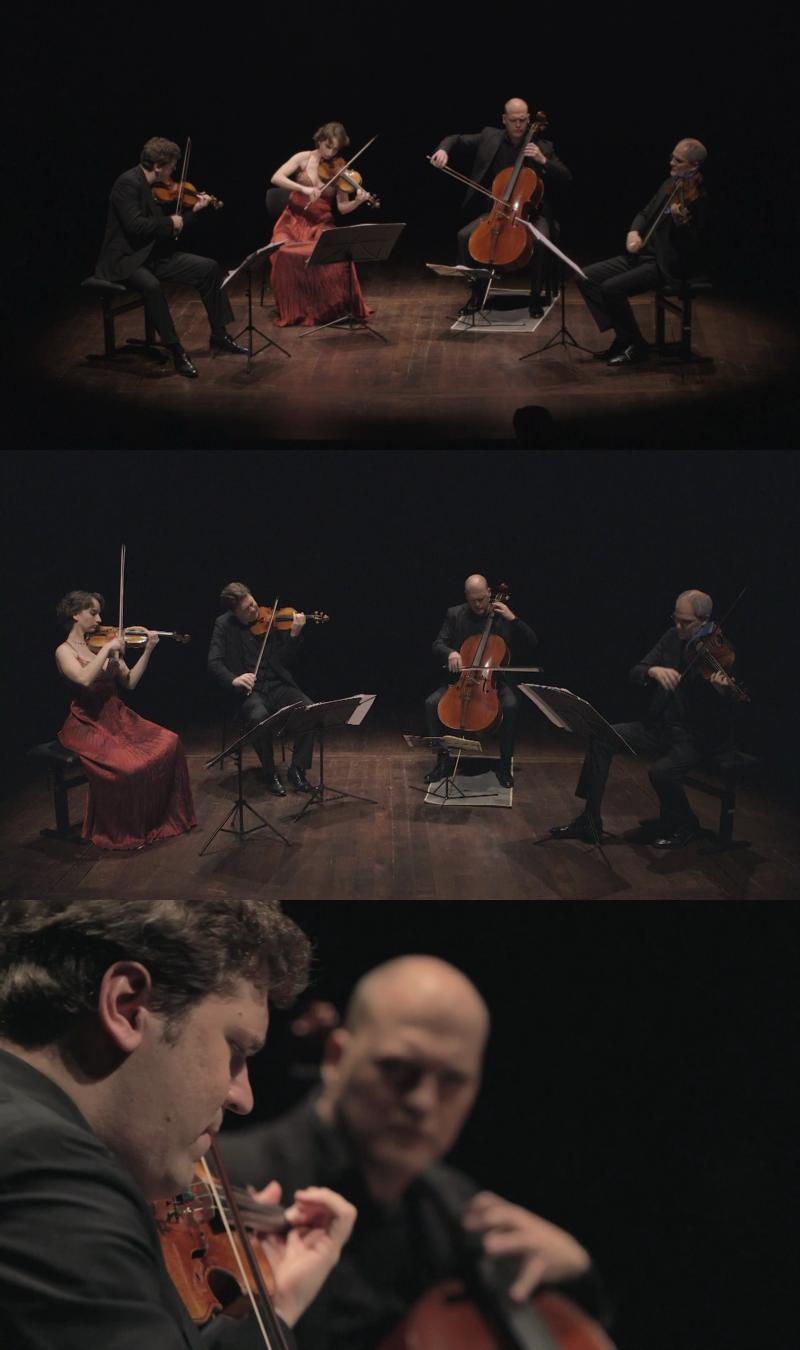 Schubert String Quartets - Cuarteto Casals_cover.jpg