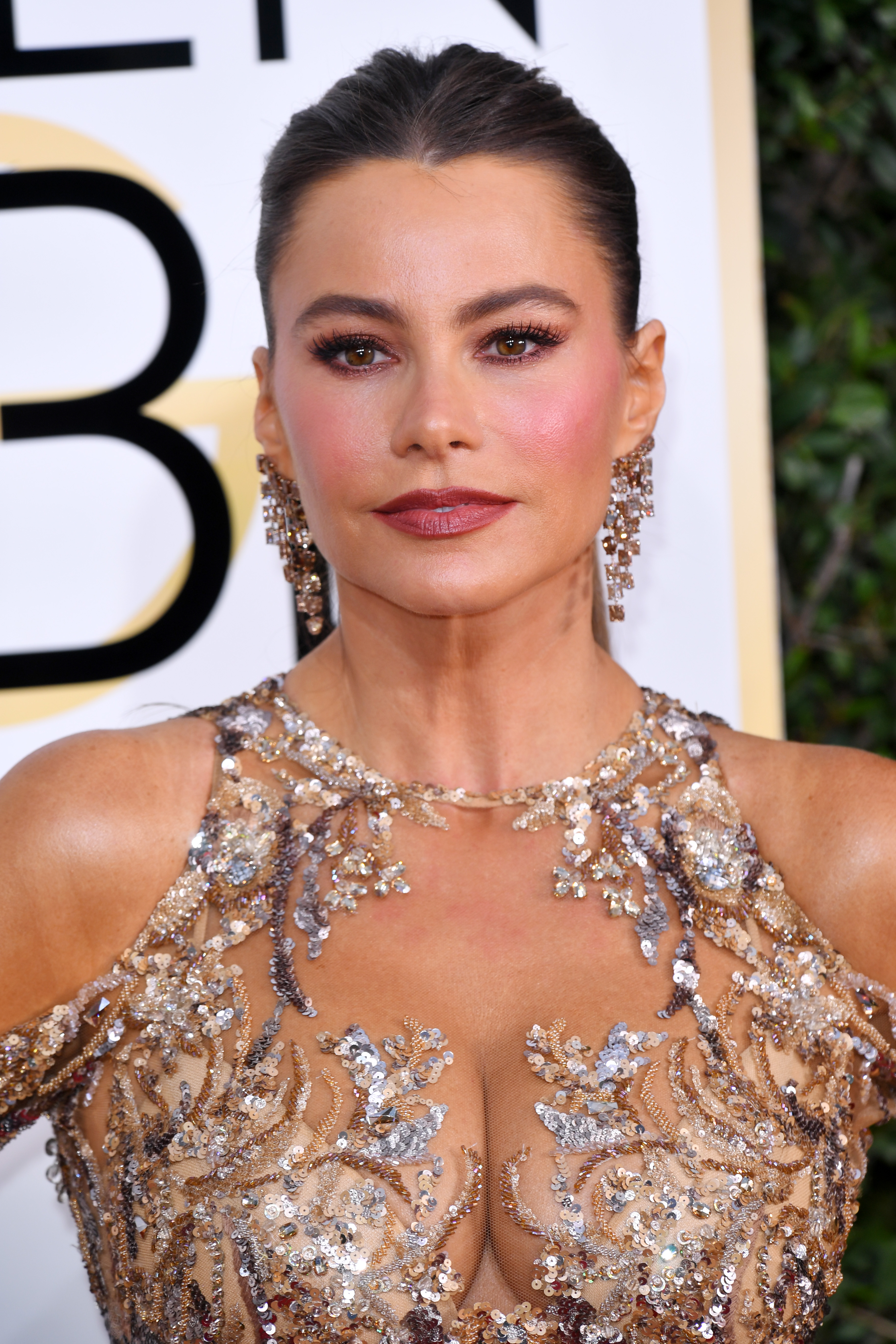 Sofia Vergara big boobs in see through dress on 74th Annual Golden Globe Awards 28x HQ photos 15.jpg