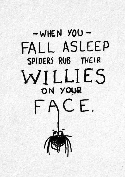 Funny-memes-spiders-rub-their-willies-520x735.jpg
