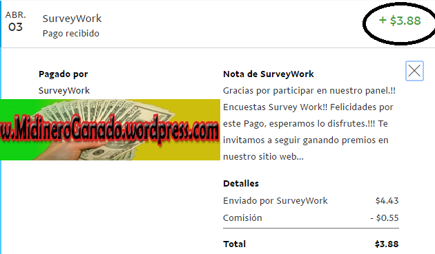 pago survey work.png
